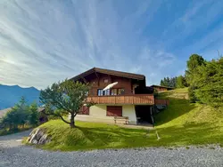 Bild zur gratis inserierten Ferienwohnung Chalet Bärgblüemli.