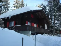 Bild zur gratis inserierten Ferienwohnung Chalet Föhrli.