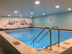 Ferienwohnung Apartment plus Pool in Troistorrents - 3 Personen, Hund erlaubt