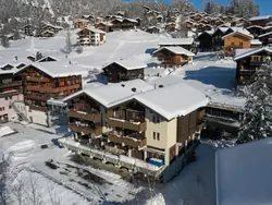 Ferienwohnung Silberdistel 1.Obergeschoss in Bellwald - 4 Personen, Hund nicht erlaubt