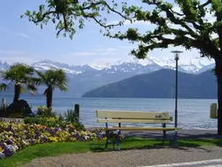 Bild zur gratis inserierten Ferienwohnung Studio "Rubi" Weggis.