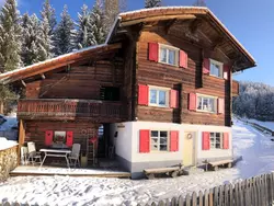 Bild zur gratis inserierten Ferienwohnung Chalet Arosa für 6 P.