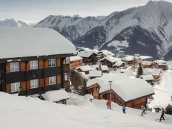 Ferienwohnung Chalet "Arve" in Riederalp - 4 Personen, Hund erlaubt