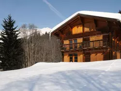Bild zur gratis inserierten Ferienwohnung "Chalet de Bois" Süd herrliche Aussicht.