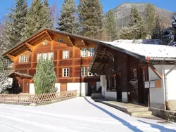 Bild zur gratis inserierten Ferienwohnung Chalet 9.