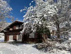 Ferienhaus Flüehli Roth in Hasliberg - 4 Personen, Hund erlaubt