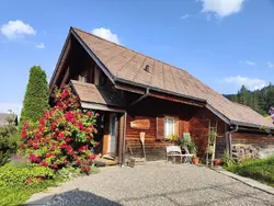 Bild zur gratis inserierten Ferienwohnung Domo.