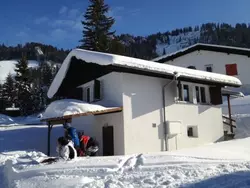 Bild zur gratis inserierten Ferienwohnung Bambi.