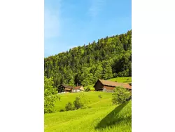 Bild zur gratis inserierten Ferienwohnung Biohof Langberg.