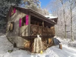 Bild zur gratis inserierten Ferienwohnung Waldhaus auf Randen.