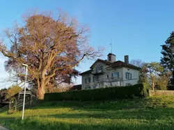 Bild zur gratis inserierten Ferienwohnung Studio Ferienwohnung - 38 m2- mit Gartennutzung.