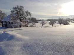 Bild zur gratis inserierten Ferienwohnung Historisches Riegel-Doppelbauernhaus.
