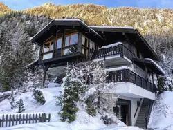Bild zur gratis inserierten Ferienwohnung Chalet mit Seeblick, Jacuzzi, Sauna und Garten.