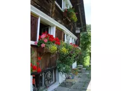 Bild zur gratis inserierten Ferienwohnung «Hüsli».