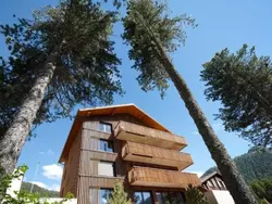 Bild zur gratis inserierten Ferienwohnung Alpine Lodge 6-Bett-Wohnung Chesa al Parc / "Bergbahnen All inklusive" im Somme.