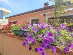 Bild zur gratis inserierten Ferienwohnung Studio für 2 Personen ca. 25 m&sup2; in Novigrad, Adriaküste Kroatien (Westküst.