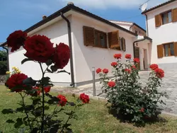 Ferienwohnung Appartament Tea in Općina Funtana - 2 Personen, Hund nicht erlaubt