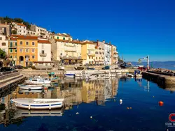 Bild zur gratis inserierten Ferienwohnung Magnolia Terrace Wohnung.