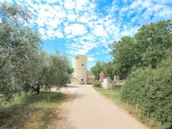 Bild zur gratis inserierten Ferienwohnung Gemütliches Studioappartement Silos Oliva.