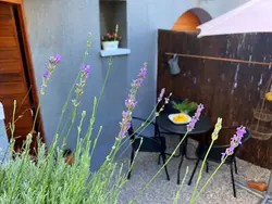 Bild zur gratis inserierten Ferienwohnung Studio Savic.