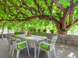 Bild zur gratis inserierten Ferienwohnung Maric mit Terrasse und Balkon.