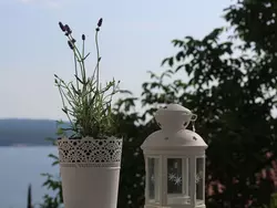 Bild zur gratis inserierten Ferienwohnung Gemütliche Ferienwohnung in Dramalj mit Großer Terrasse.