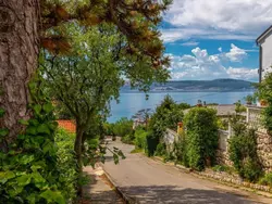 Bild zur gratis inserierten Ferienwohnung Wohnung Velvet Vista 5.