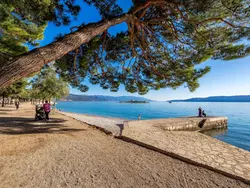 Bild zur gratis inserierten Ferienwohnung Apartment für zwei Erwachsene und zwei Kinder.