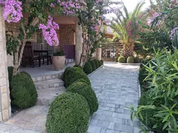 Bild zur gratis inserierten Ferienwohnung "Moreta Mare" mit Terrasse.