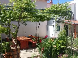 Bild zur gratis inserierten Ferienwohnung Gemütliche Ferienwohnung Emil.