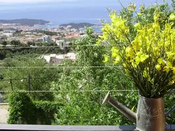 Bild zur gratis inserierten Ferienwohnung Bella Vista.