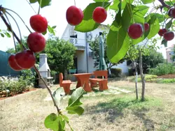 Bild zur gratis inserierten Ferienwohnung Schöne, gemütliche Ferienwohnung "Mira B" mit Garten.