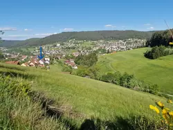Bild zur gratis inserierten Ferienwohnung Schwarzwald Idylle.