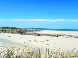Ferienhaus Die Ruhe des Landes am Meer in einer Region mit Gemüseanbau in Saint-Pol-de-Léon - 4 Personen, Hund erlaubt