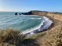 Bild zur gratis inserierten Ferienwohnung Gartengeschoss in der Nähe von Strand und Hafen.