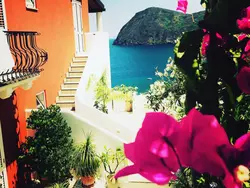 Bild zur gratis inserierten Ferienwohnung Wohnung C.