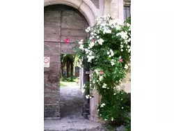 Bild zur gratis inserierten Ferienwohnung Wohnung Caprifoglio in Miasino.