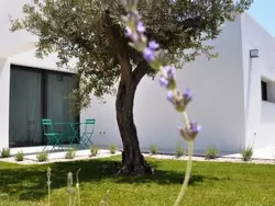 Bild zur gratis inserierten Ferienwohnung Mare e Dune.