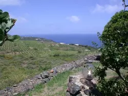 Ferienhaus Dammuso Mirto' Ferienhaus mit Wasserblick in Pantelleria - 6 Personen, Hund erlaubt
