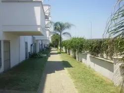 Bild zur gratis inserierten Ferienwohnung in Torre Mozza mit Terrasse.