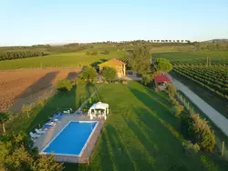 Bild zur gratis inserierten Ferienwohnung Die Maulbeerbäume auf dem Bauernhof.