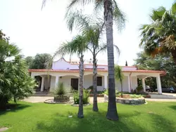 Bild zur gratis inserierten Ferienwohnung Diddy's Country.