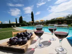 Bild zur gratis inserierten Ferienwohnung Wohnung in Castiglione Del Lago mit Garten, gemeinsamem Pool und Grill.