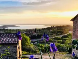 Bild zur gratis inserierten Ferienwohnung Renovierte Wohnung.