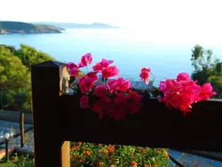 Bild zur gratis inserierten Ferienwohnung mit Wasserblick.