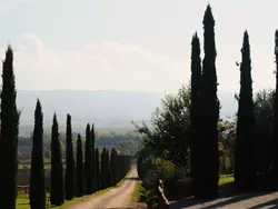 Bild zur gratis inserierten Ferienwohnung Appartement in Castiglione Del Lago mit Terrasse, gemeinsamem Pool und Garten.