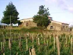 Bild zur gratis inserierten Ferienwohnung Gemütliches Appartement in Castiglione Di Sicilia mit Privatem Pool.