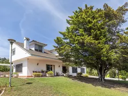 Bild zur gratis inserierten Ferienwohnung Ermita.