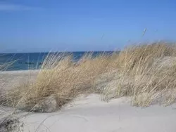 Ferienwohnung 1 Raum Graal-Müritz in Graal-Müritz - 2 Personen, Hund nicht erlaubt