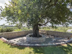 Bild zur gratis inserierten Ferienwohnung Maribel.